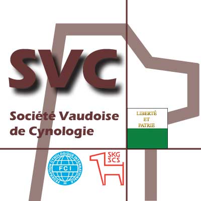 SVC