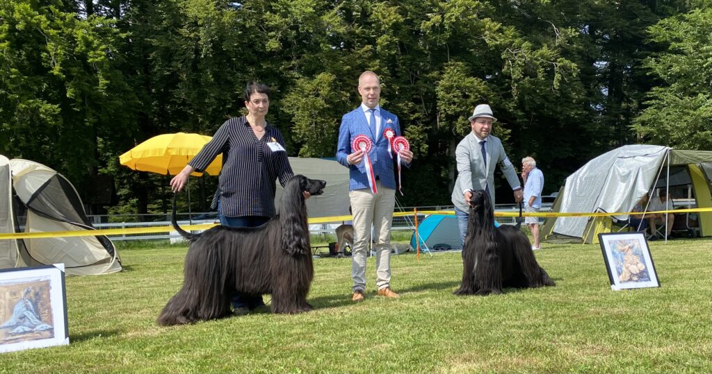 BOB & BOS sowie Club-Winner