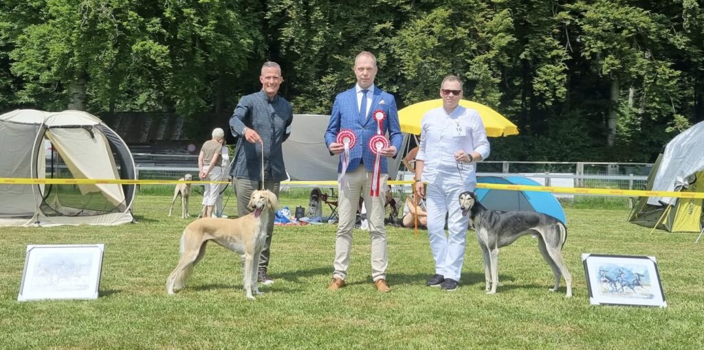 BOB & BOS sowie Club-Winner