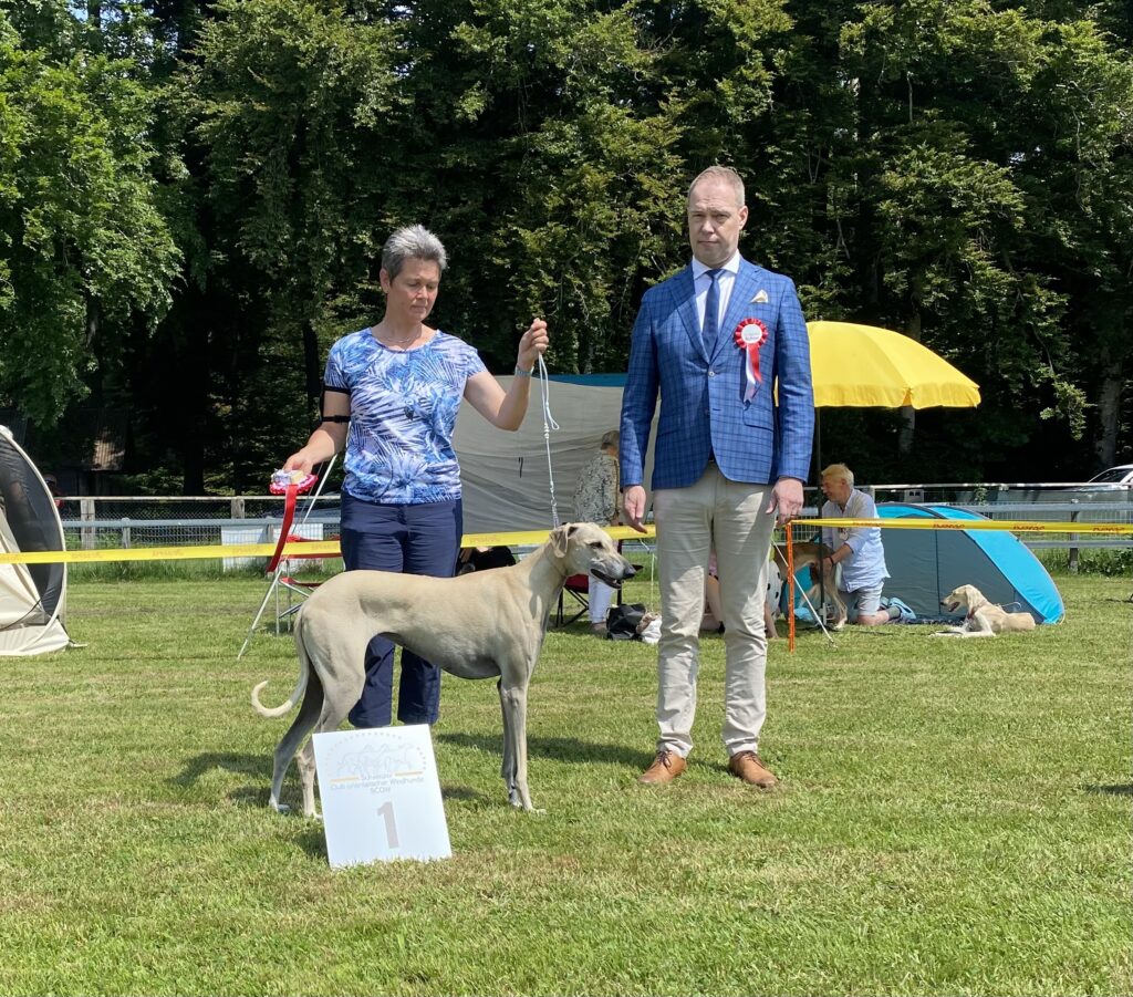 ChK Hündinnen